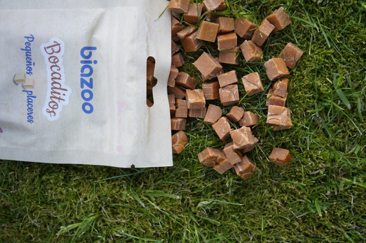 BIAZOO GATO BOCADITOS DADOS DE SALMON 50 GRS