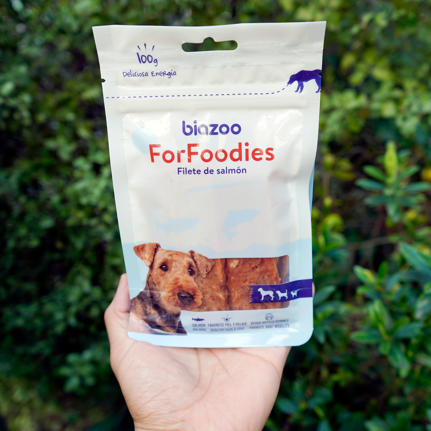 BIAZOO FILETE DE SALMON 100 GRS