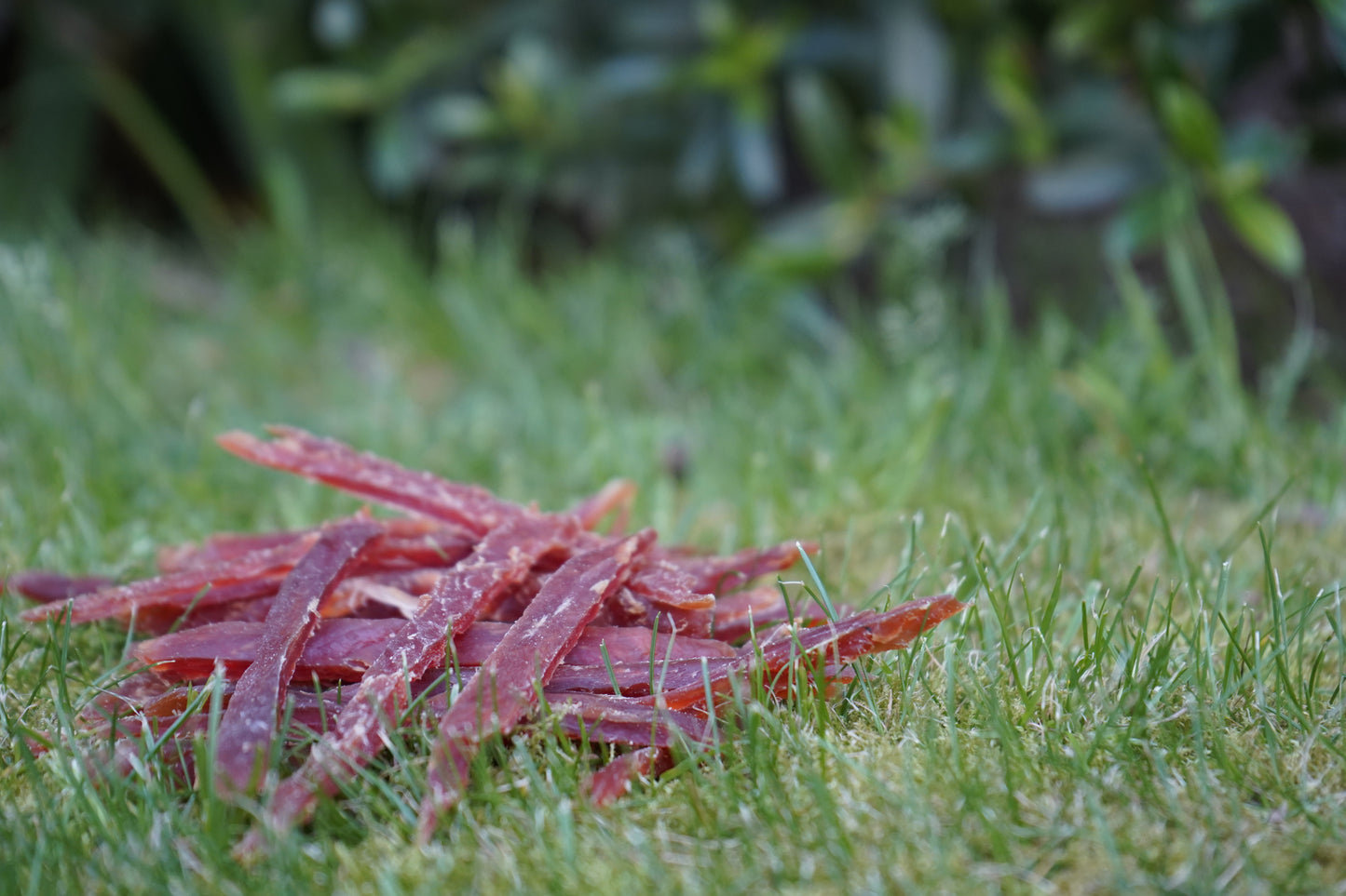 BIOZOO PERRO TIRAS FINAS SUAVES DE PATO 100 GRS