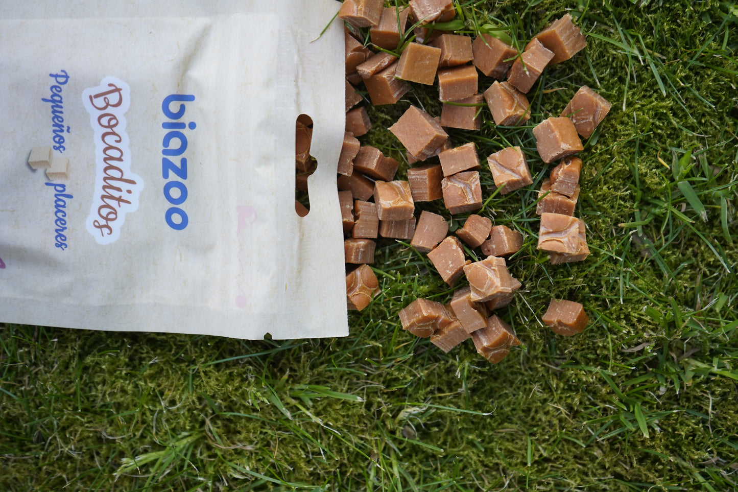 BIAZOO GATO BOCADITOS DADOS DE SALMON 50 GRS