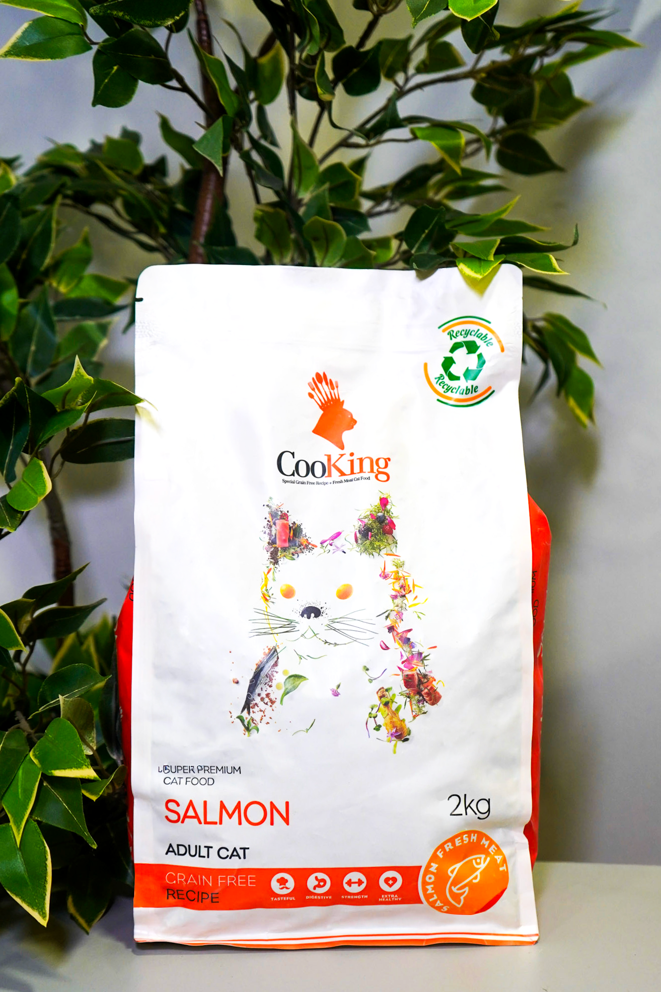 COOKING GATO SALMON 2KG LIBRE DE GRANOS