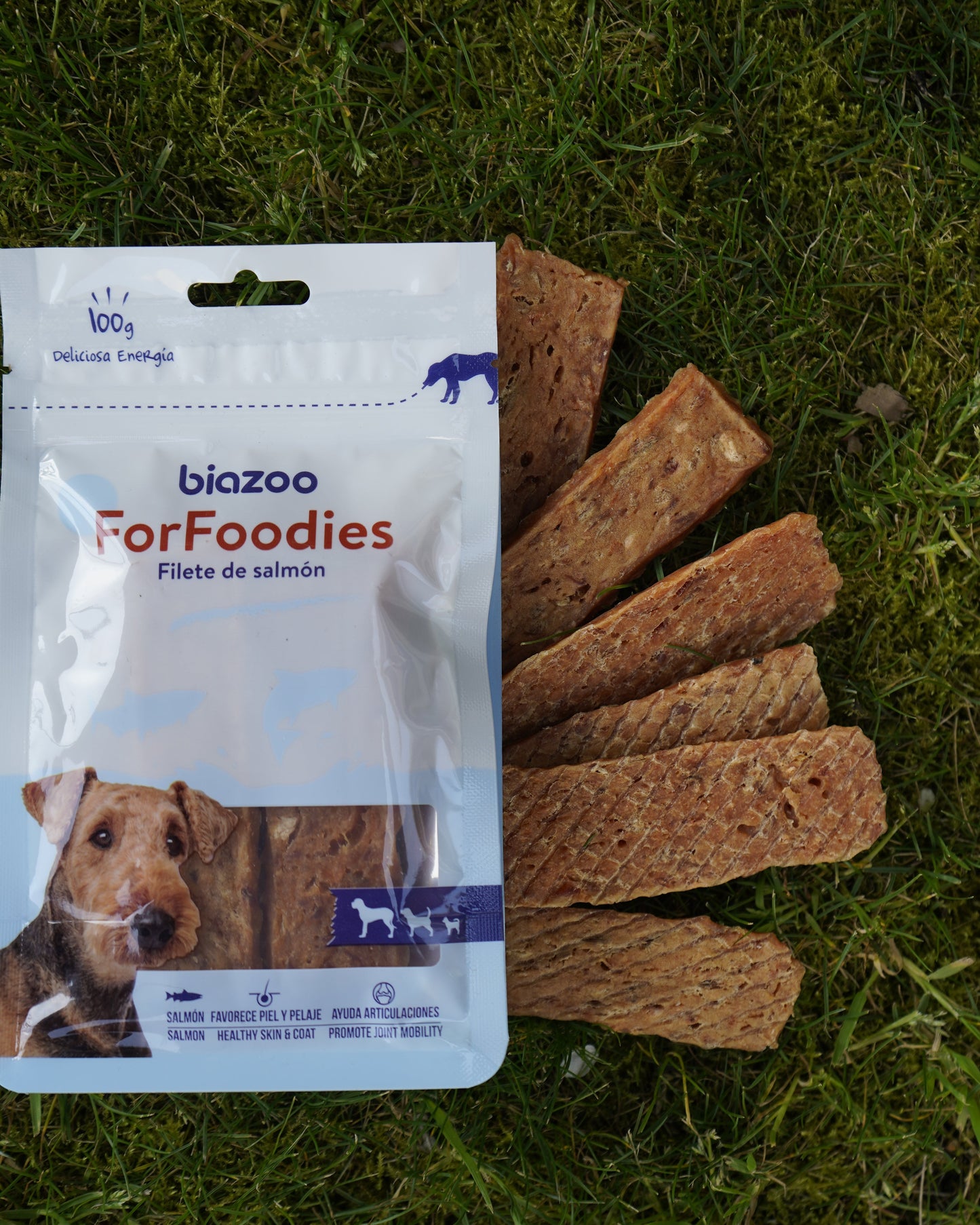 Deliciosos filetes de salmon para perros 