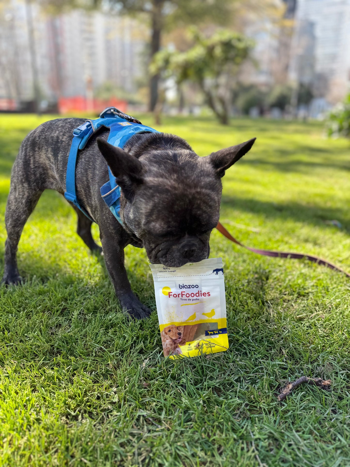 BIAZOO PERRO TIRAS DE POLLO 100 GRS