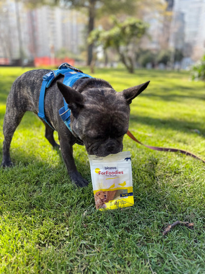 BIAZOO PERRO TIRAS DE POLLO 100 GRS