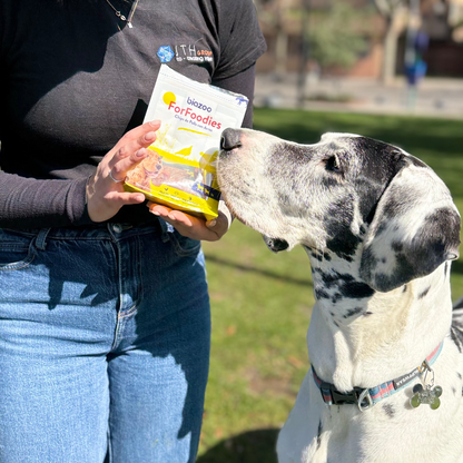 BIAZOO CHIP CORAZON DE POLLO Y ARROZ