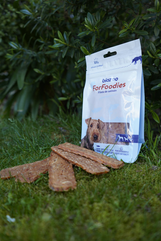 BIAZOO FILETE DE SALMON 100 GRS