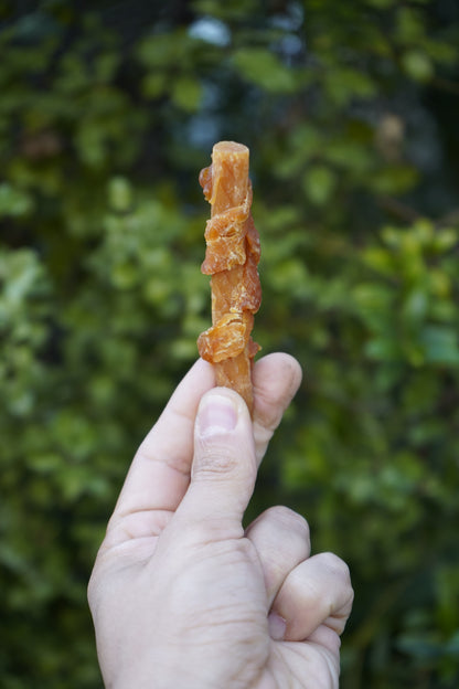 BIAZOO PERRO STICK POLLO Y ZANAHORIA 100 GRS