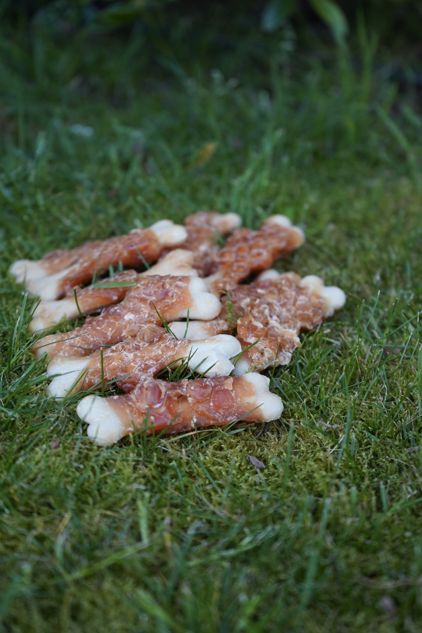 BIAZOO PERRO HUESO DE CALCIO CON POLLO 100 GRS