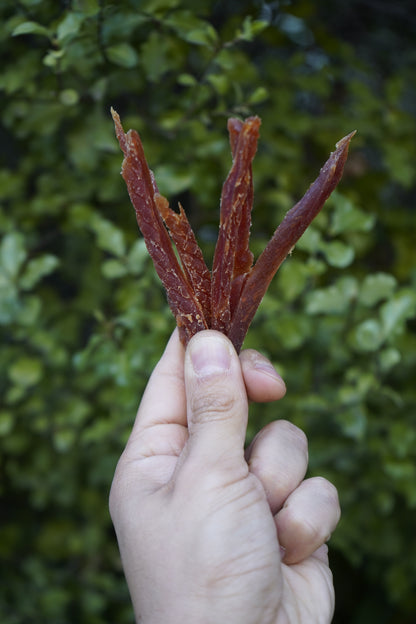 BIOZOO PERRO TIRAS FINAS SUAVES DE PATO 100 GRS