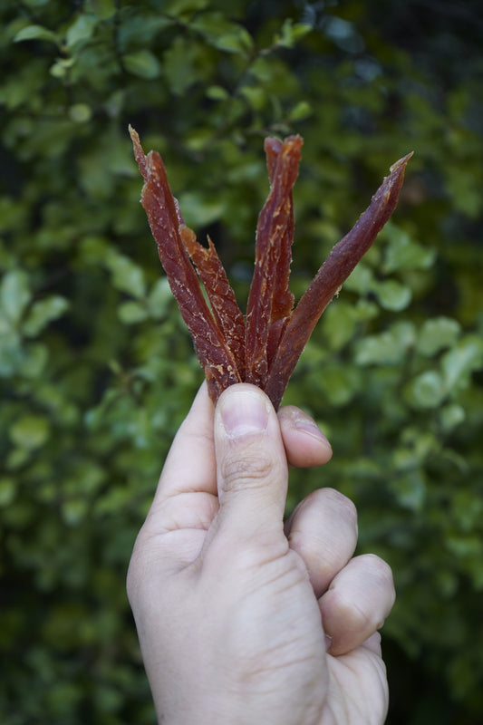 BIOZOO PERRO TIRAS FINAS SUAVES DE PATO 100 GRS