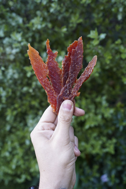 BIAZOO PERRO PECHUGAS SUAVES DE PATO 100 GRS