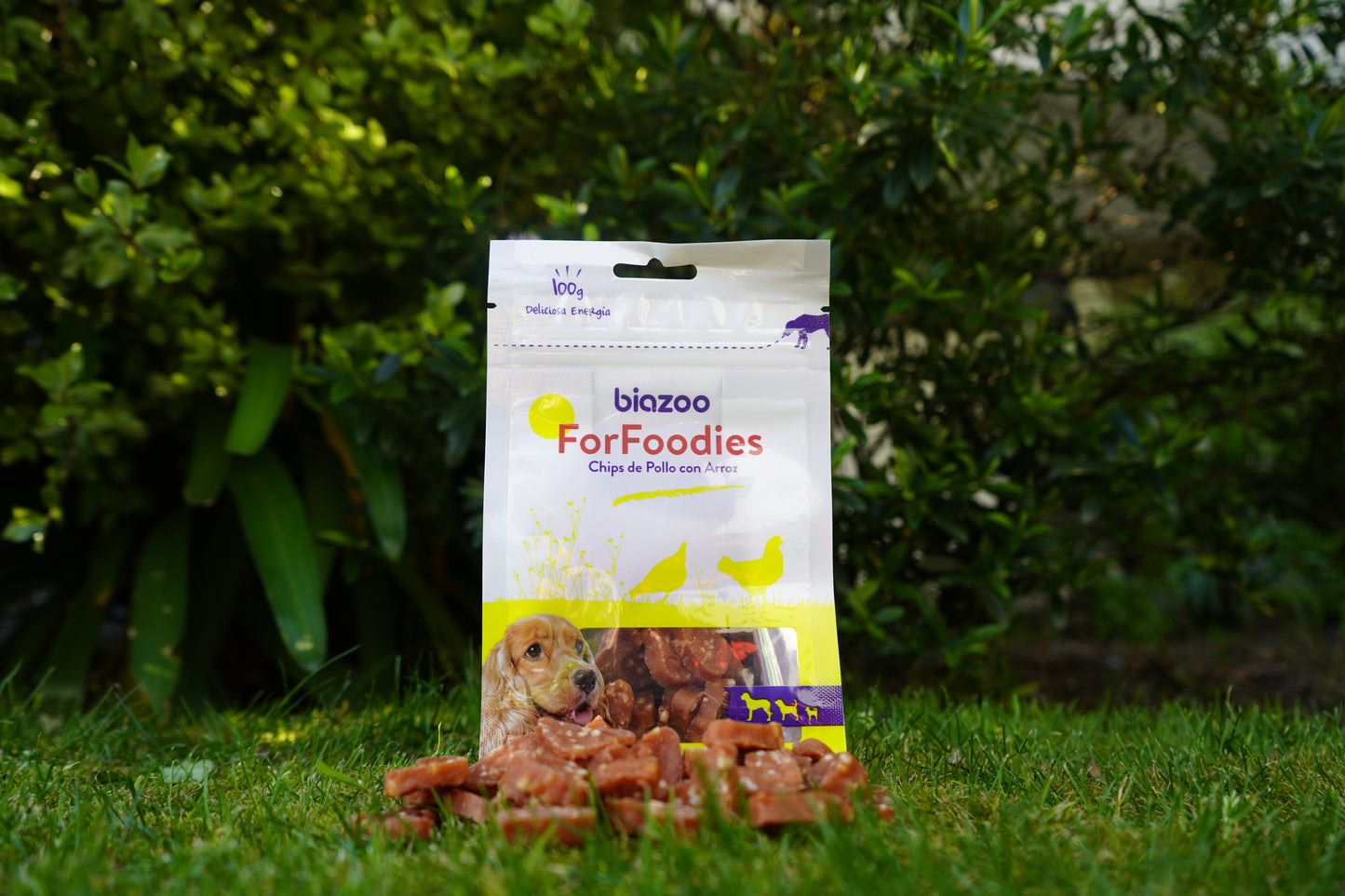 BIAZOO CHIP CORAZON DE POLLO Y ARROZ