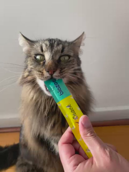 BIAZOO GATO LIQUID SNACK POLLO CON ATUN 6 X 15 GRS