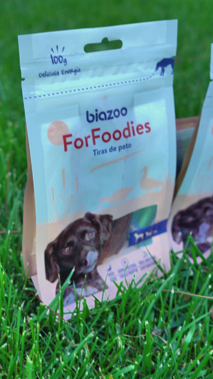 BIOZOO PERRO TIRAS FINAS SUAVES DE PATO 100 GRS
